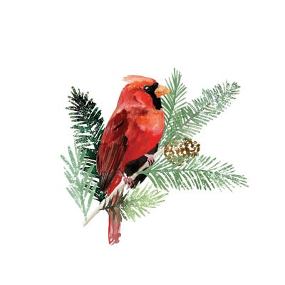 Winter Visitor III by Victoria Barnes art print