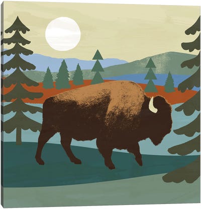 Trailside Animals II Canvas Art Print - Bison & Buffalo Art