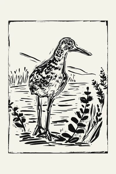 Ponds: Linocut Style Seabird II by Victoria Barnes