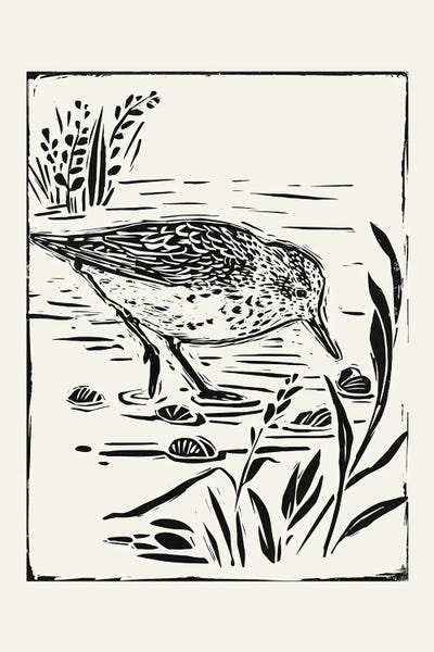 Ponds: Linocut Style Seabird III by Victoria Barnes