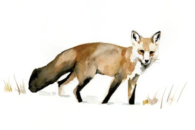 Winter Fox I by Victoria Barnes canvas print