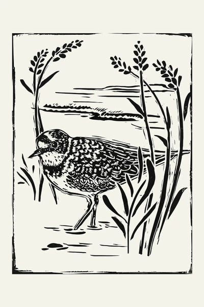 Ponds: Linocut Style Seabird IV by Victoria Barnes