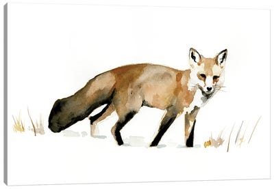 Winter Fox I Canvas Art Print - Fox Art