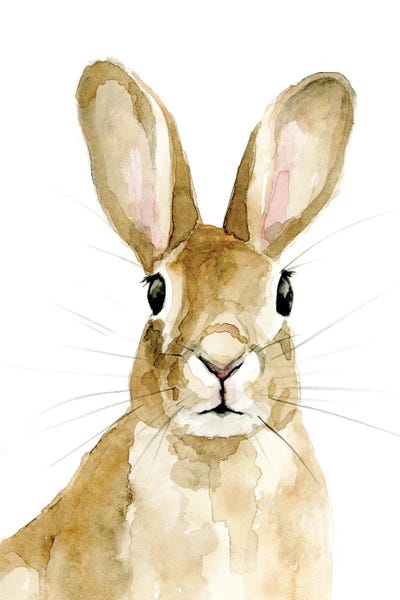 Rabbits: Bunn I by Victoria Barnes