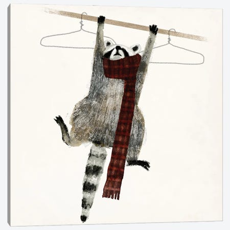 Rascally Raccoon I Canvas Print #VBR47} by Victoria Barnes Canvas Art Print