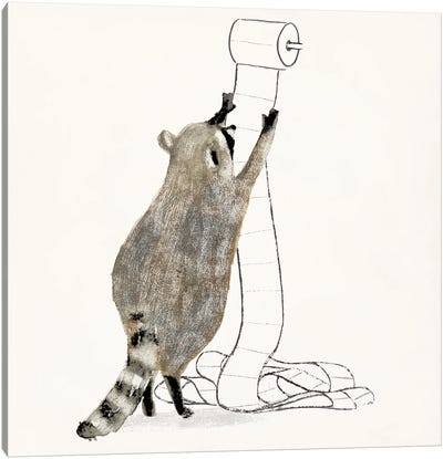 Rascally Raccoon IV Canvas Art Print - Kids Bathroom Art