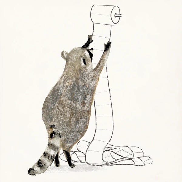 Victoria Barnes: Rascally Raccoon IV by Victoria Barnes