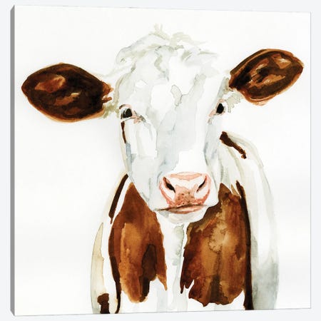 Cow Gaze I Canvas Print #VBR51} by Victoria Barnes Canvas Print