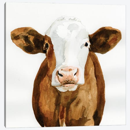 Cow Gaze II Canvas Print #VBR52} by Victoria Barnes Canvas Print