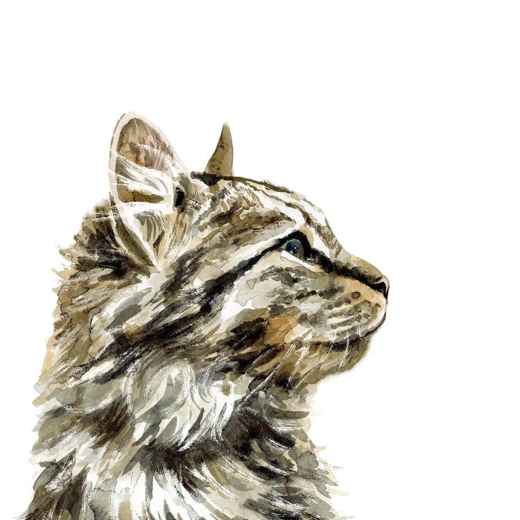 Pet Profile IV by Victoria Barnes wall art