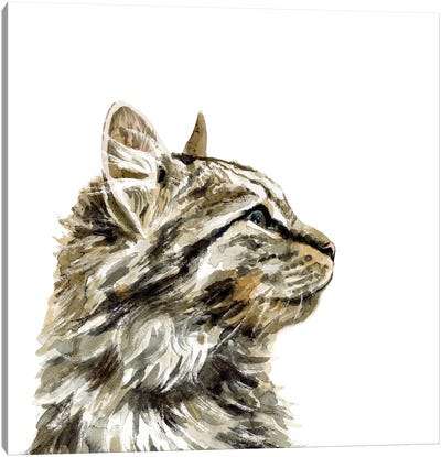 Pet Profile IV Canvas Art Print - Tabby Cat Art