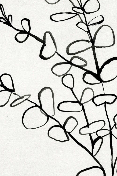 Sprig Contour I