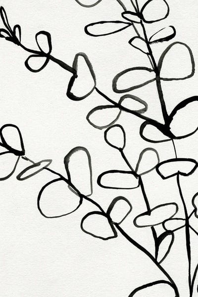 Victoria Barnes: Sprig Contour I by Victoria Barnes