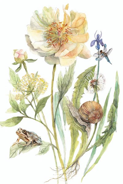 Violetta Boyadzhieva: Peony May Garden by Violetta Boyadzhieva