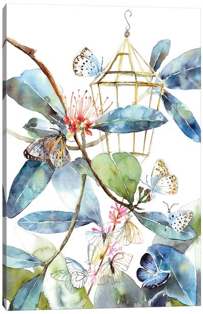 Butterfly Home Canvas Art Print - Violetta Boyadzhieva