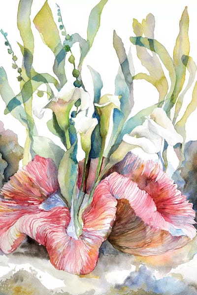 Calla by Violetta Boyadzhieva canvas print