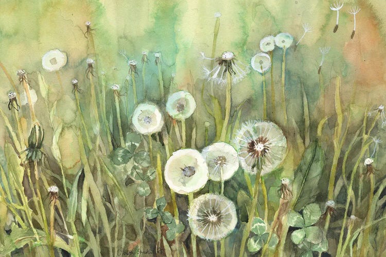 Dandelion Field With Clovers by Violetta Boyadzhieva canvas print