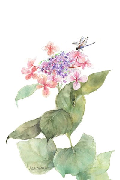 Pink Hortensia With Dragonfly by Violetta Boyadzhieva framed canvas print