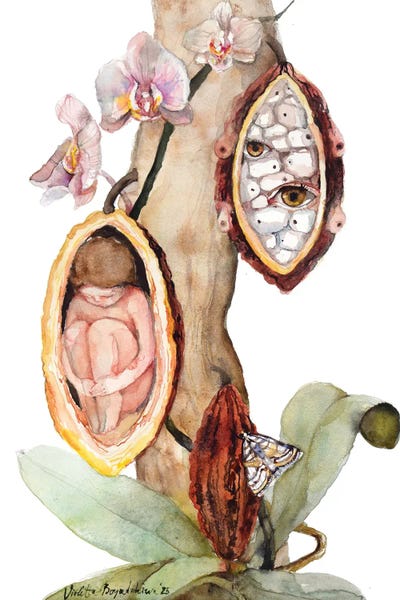 Cacao Ceremony Inner Child Symbolic Orchid Artwork by Violetta Boyadzhieva framed canvas print