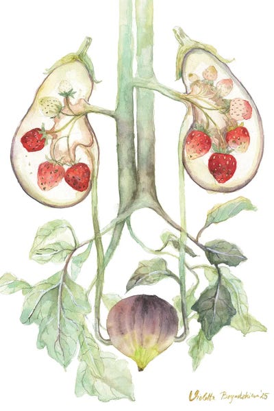 Violetta Boyadzhieva: Eggplant, Strawberries And Fig Anatomy by Violetta Boyadzhieva