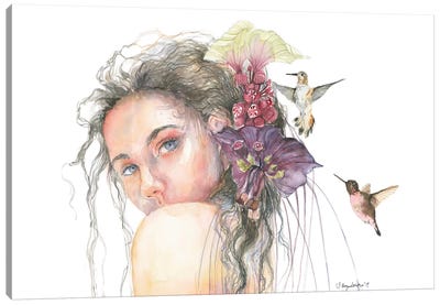 Colibri Canvas Art Print - Violetta Boyadzhieva