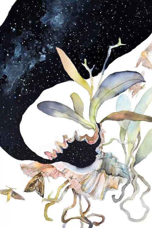 Cosmos by Violetta Boyadzhieva wall art
