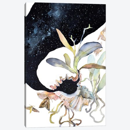 Cosmos Canvas Print #VBY17} by Violetta Boyadzhieva Canvas Print