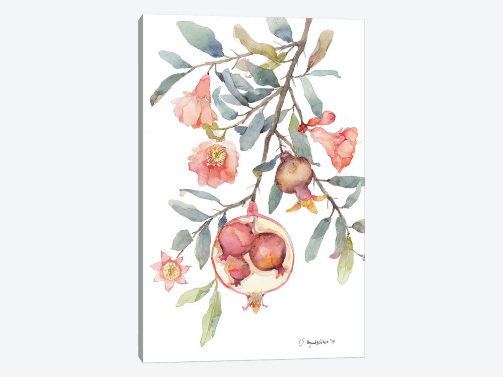 Expecting Pomegranate by Violetta Boyadzhieva 1-piece Canvas Art Print