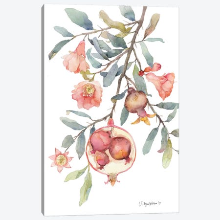 Expecting Pomegranate Canvas Print #VBY21} by Violetta Boyadzhieva Canvas Art Print