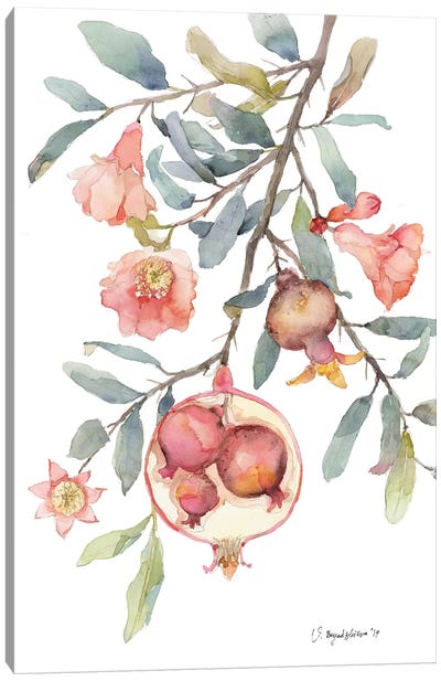 Expecting Pomegranate Canvas Art Print - Violetta Boyadzhieva