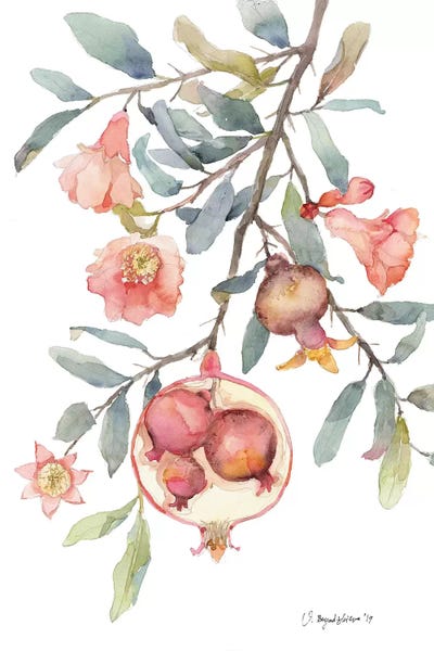 Pomegranates: Expecting Pomegranate by Violetta Boyadzhieva