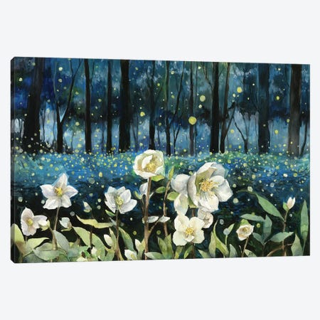 Fireflies Canvas Print #VBY23} by Violetta Boyadzhieva Canvas Art Print