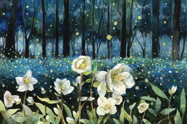 Fireflies: Fireflies by Violetta Boyadzhieva