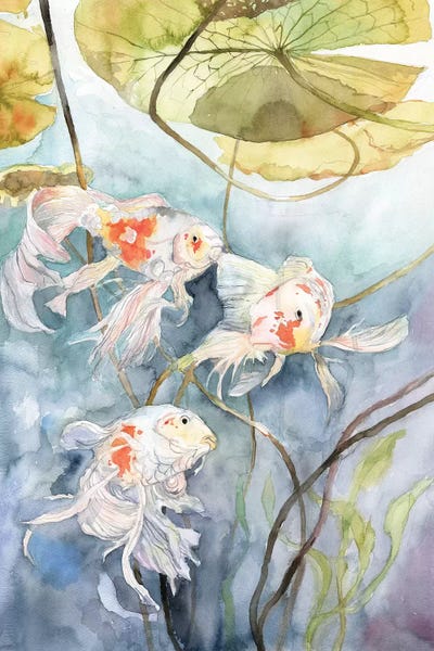 Koi: Koi Fish by Violetta Boyadzhieva
