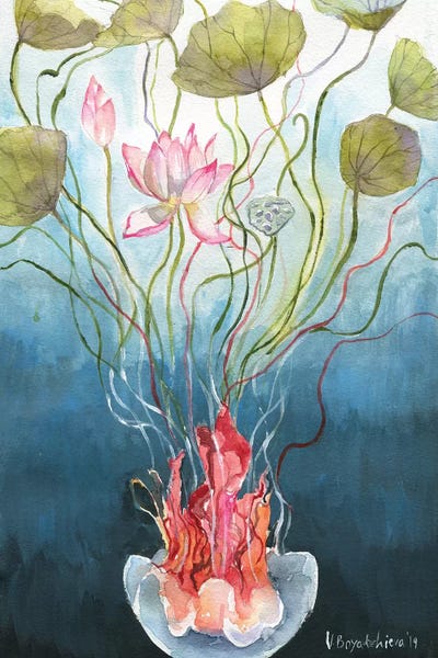Jellyfish: Life by Violetta Boyadzhieva