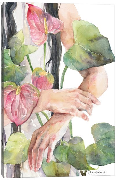 Anthurium Canvas Art Print - Violetta Boyadzhieva