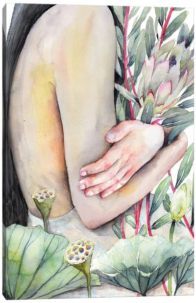 Miana Canvas Art Print - Violetta Boyadzhieva