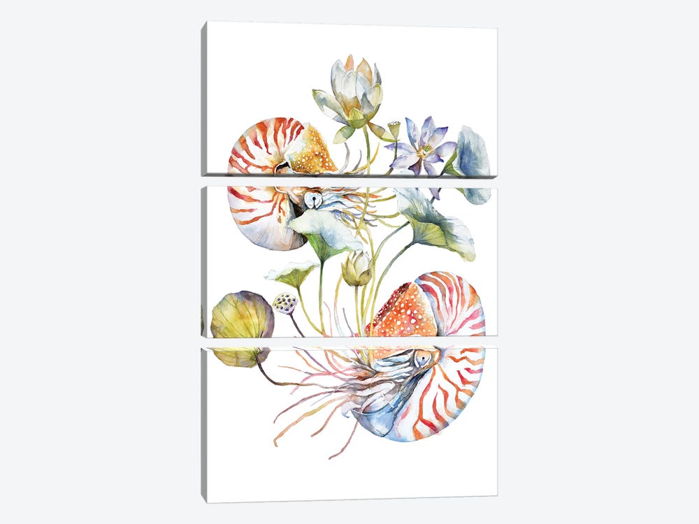 Nautilus by Violetta Boyadzhieva 3-piece Canvas Print