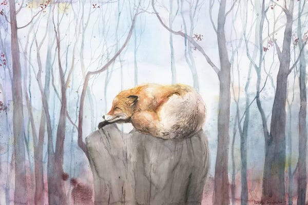 Sleeping & Napping: November by Violetta Boyadzhieva