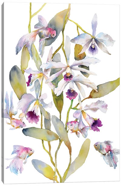 Orchids Fish Canvas Art Print - Violetta Boyadzhieva