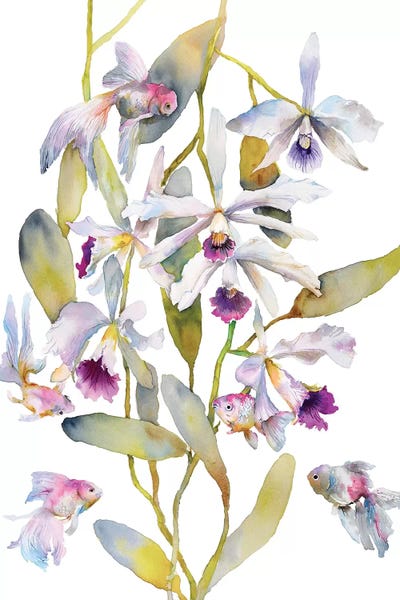 Orchids: Orchids Fish by Violetta Boyadzhieva