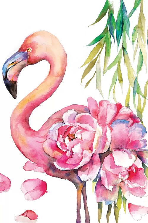 Peony Flamingo