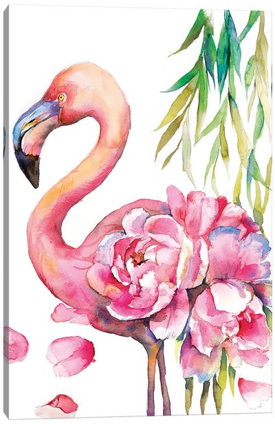 Peony Flamingo Canvas Art Print - Violetta Boyadzhieva