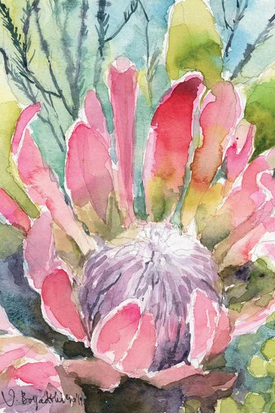 Protea by Violetta Boyadzhieva art print