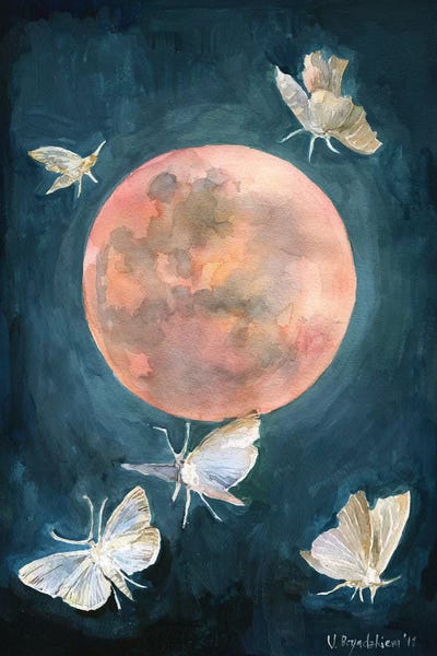 Moths: Red Moon by Violetta Boyadzhieva