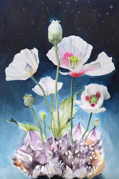 Somniferum by Violetta Boyadzhieva canvas print