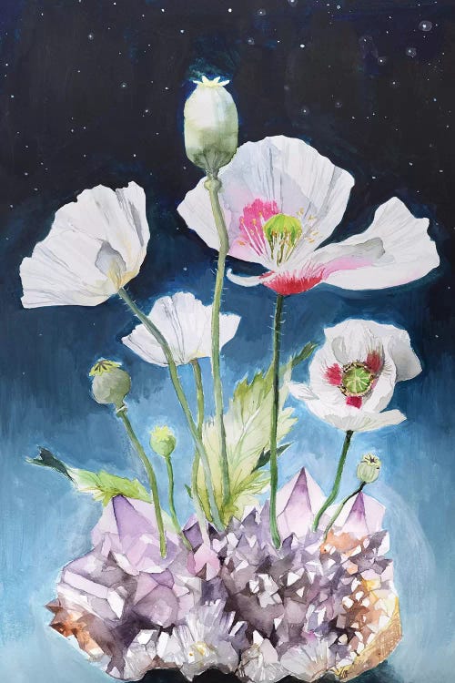 Somniferum by Violetta Boyadzhieva wall art