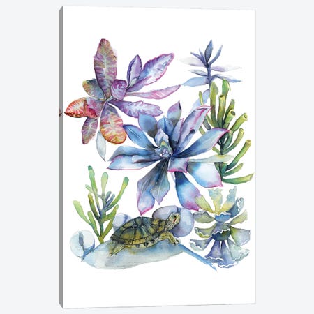 Succulents Canvas Print #VBY52} by Violetta Boyadzhieva Canvas Artwork