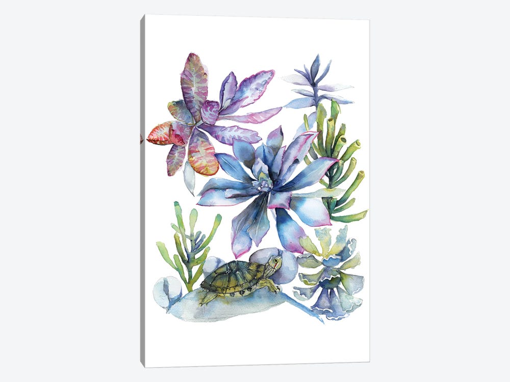 Succulents by Violetta Boyadzhieva 1-piece Art Print