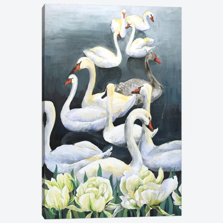 Swan Lake Canvas Print #VBY53} by Violetta Boyadzhieva Canvas Artwork